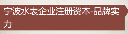 寧波水表廠(chǎng)家十排名（寧波水表有限公司怎么樣）